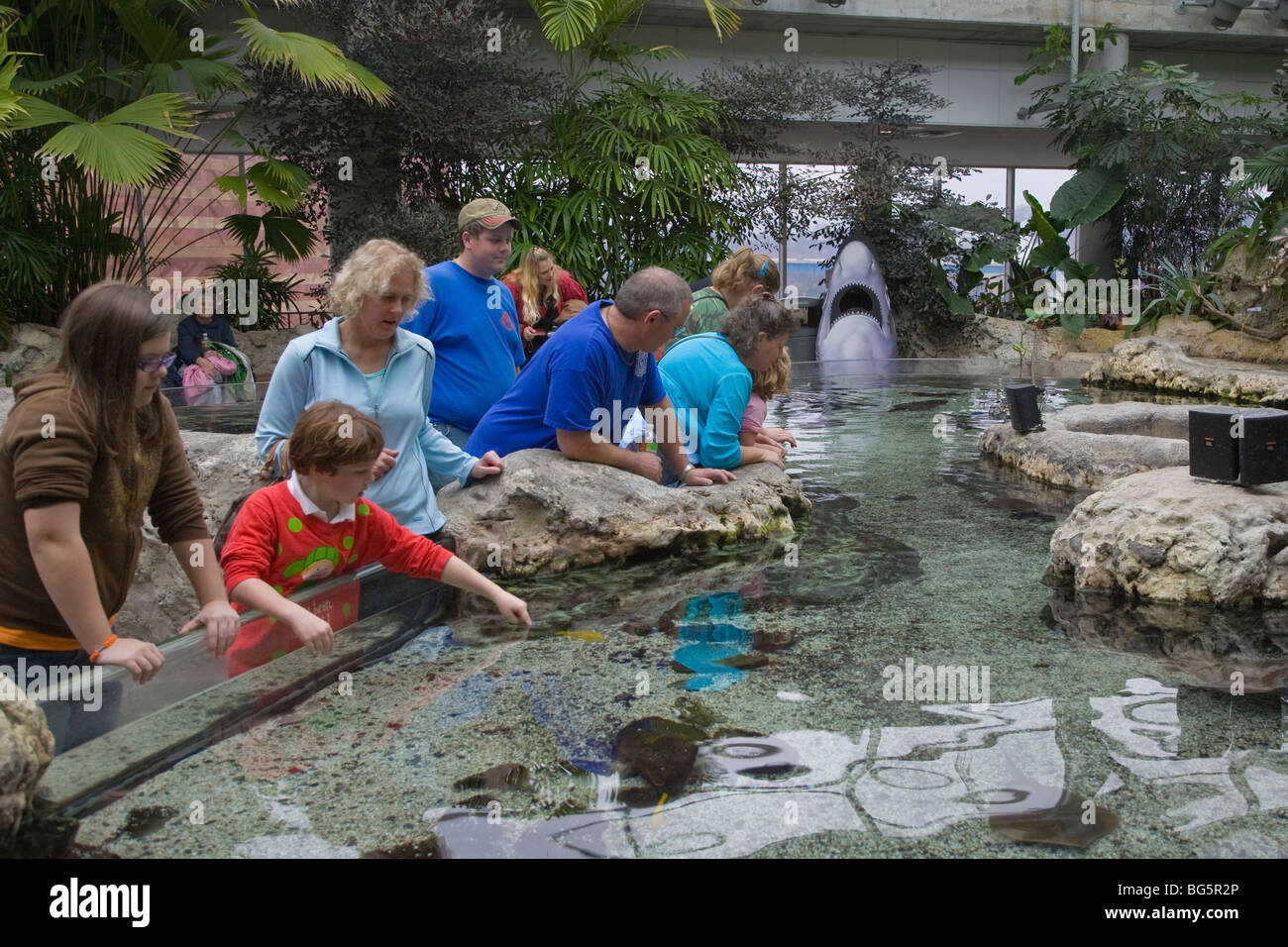 Kinder und Eltern am Touch Tank in Tennessee Aquarium in Chattanooga, Tennessee Stockfoto