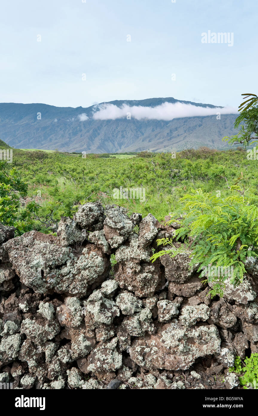 Lava-Stein-Wand und Landschaft auf der unbewohnten Südseite der Insel Maui Hawaii Stockfoto