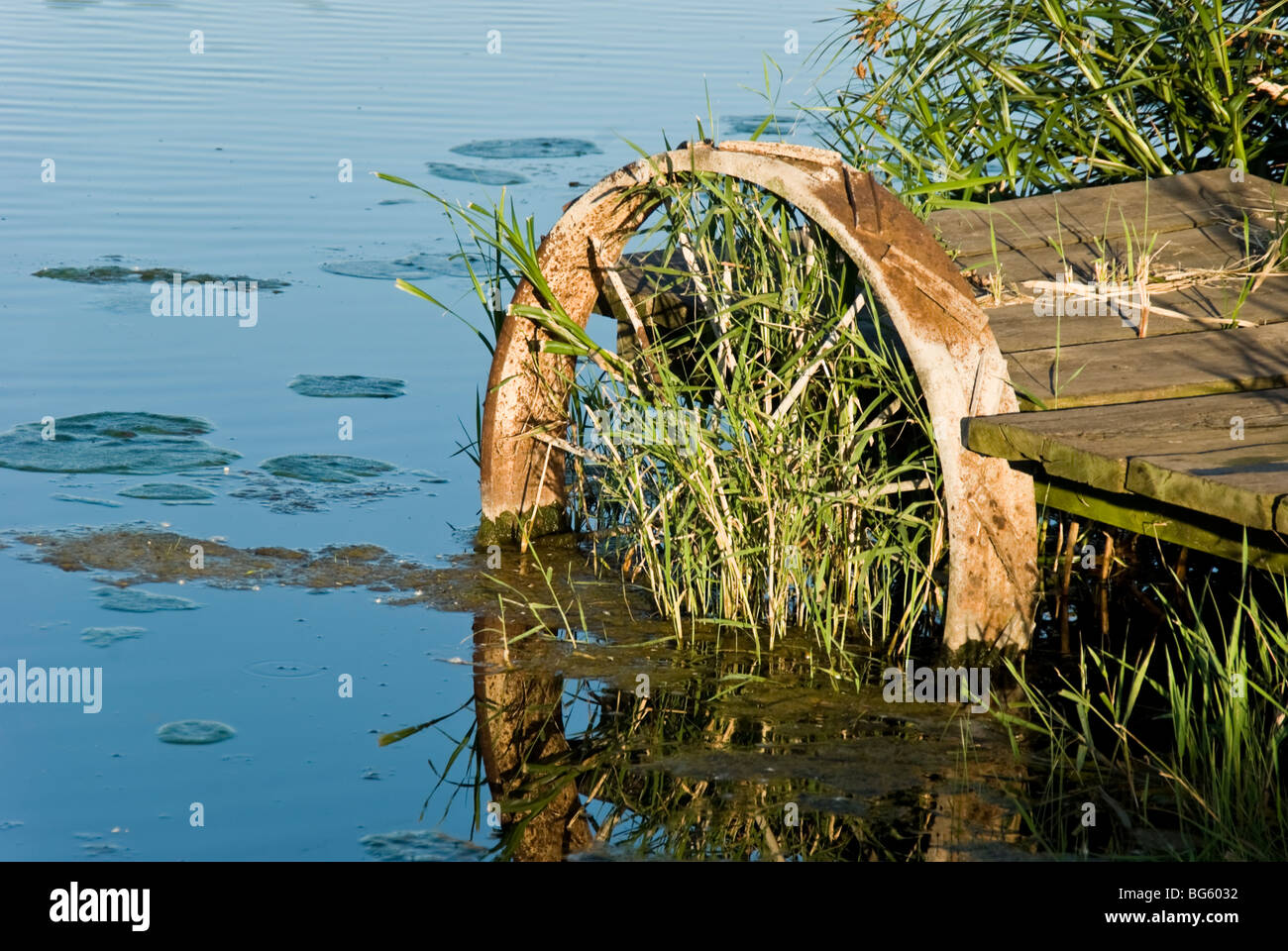 Ein hausgemachte Dock mit einer antiken Stahl Wagenrad mit Schilf und Gräsern bewachsenen sitzt in einem noch blauen Teich spiegelt den Himmel Stockfoto