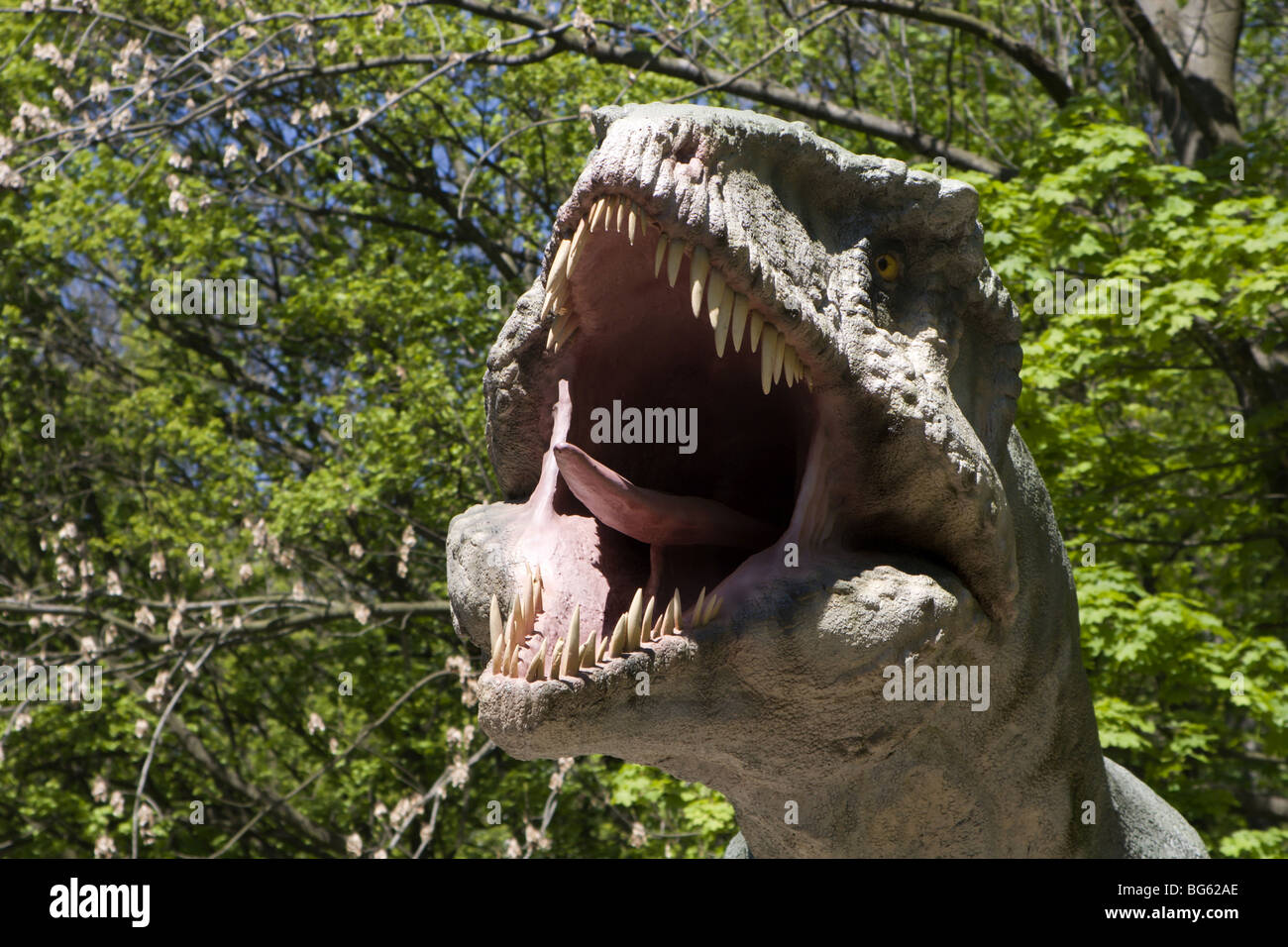 Tarbosaurus Stockfoto