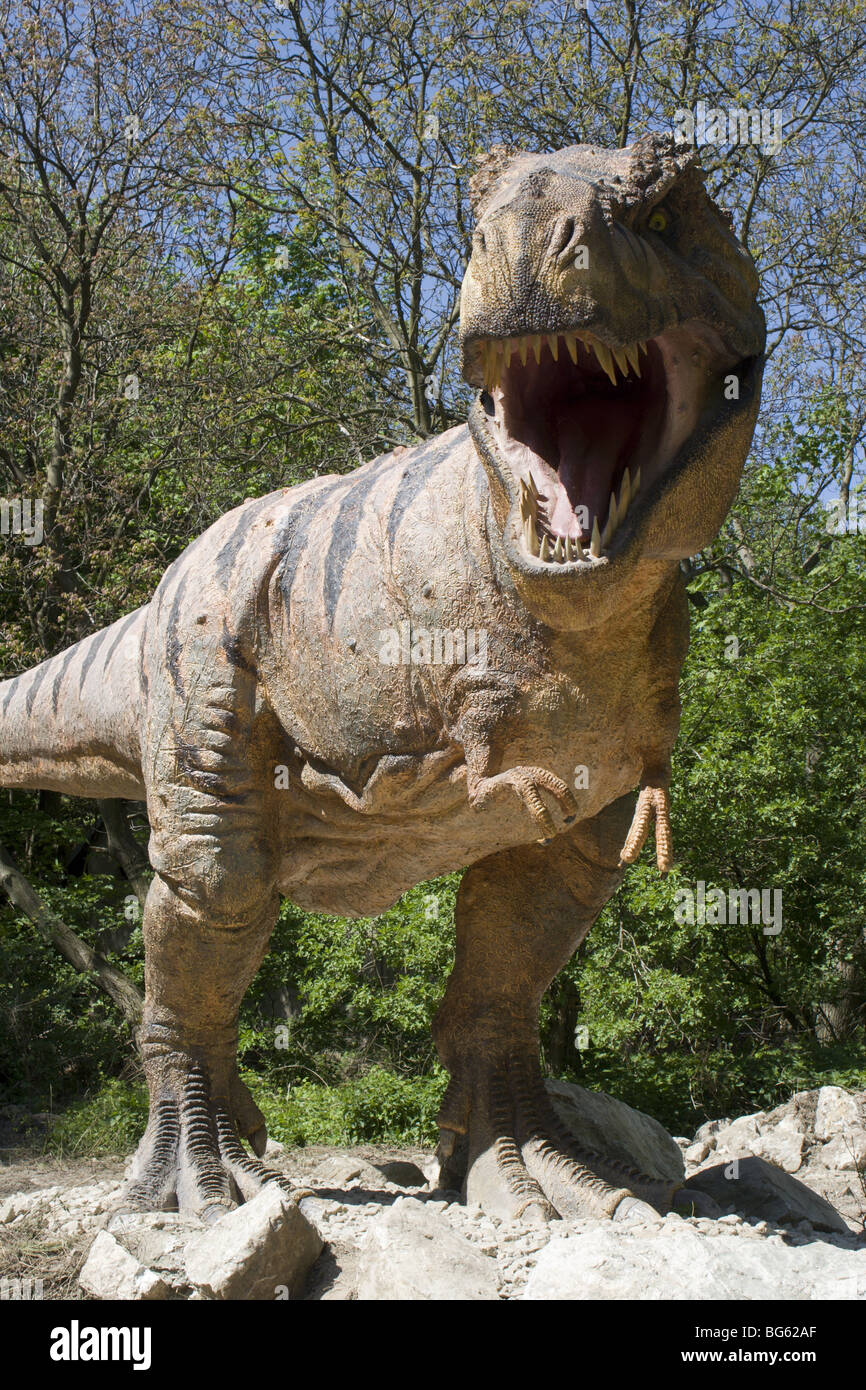 Tyrannosaurus rex Stockfoto