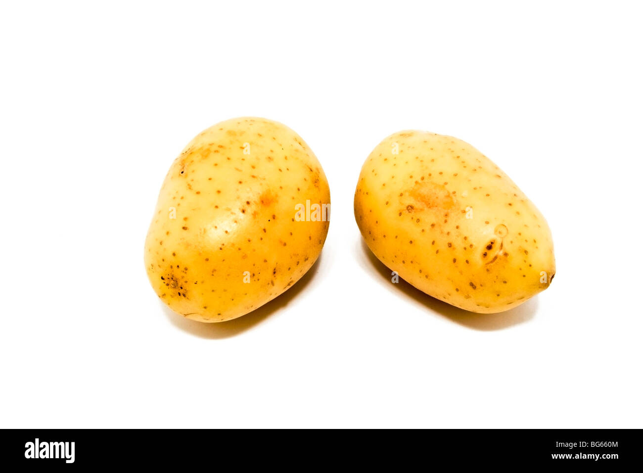 Zwei Kartoffeln isoliert auf weißem Hintergrund Stockfoto
