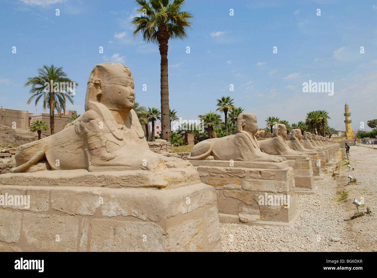 Dromos in der Tempel von Luxor, Ägypten Stockfoto