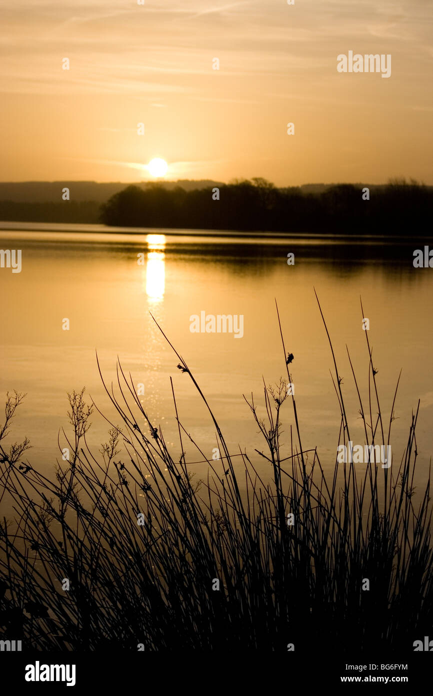 Fewston Reservoir befindet sich in der Washburn Tal nördlich von Otley und westlich von Harrogate, in North Yorkshire, Großbritannien Stockfoto