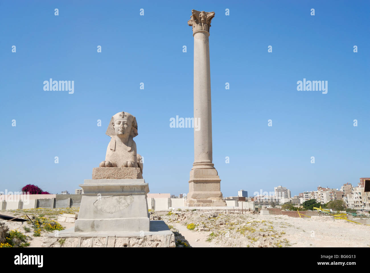 Pompeiuss Säule und Sphinx in Alexandria Serapeum Stockfoto