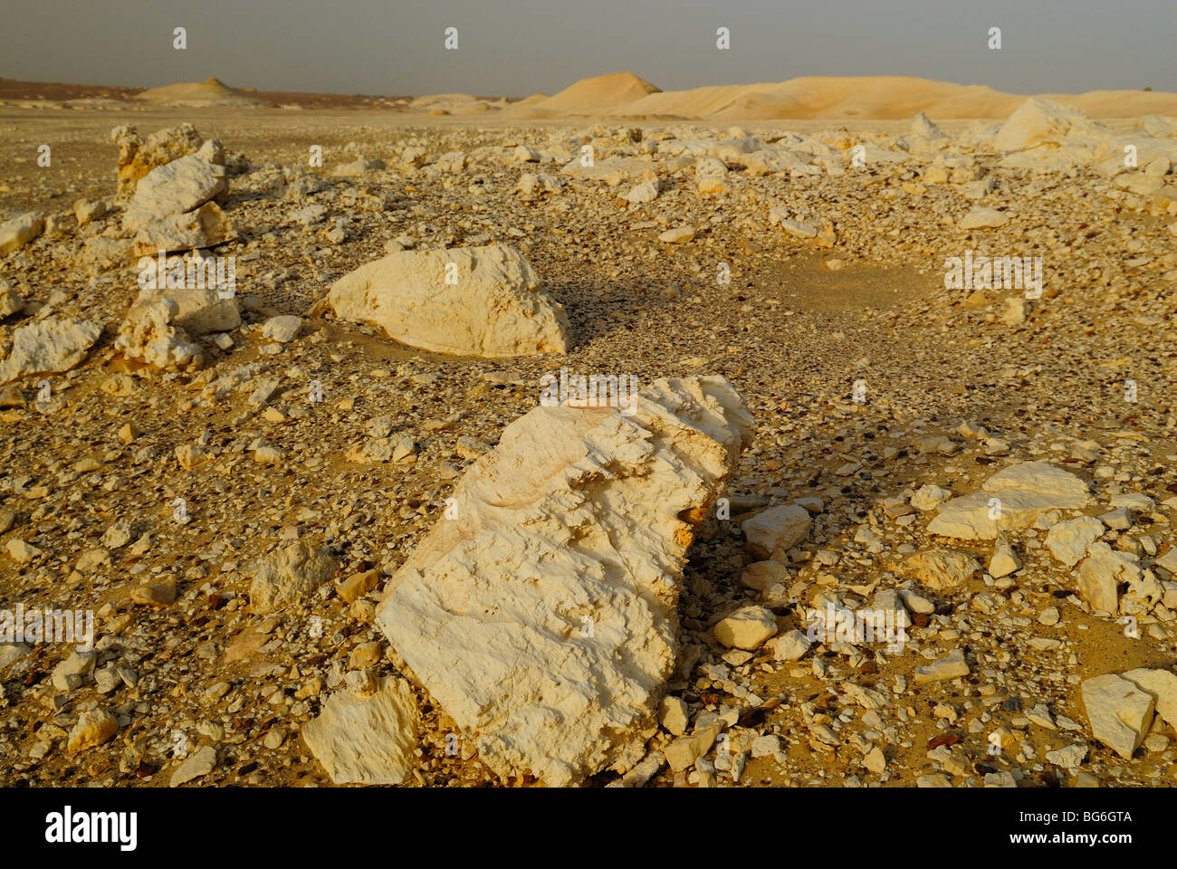 Sanddünen und Felsen in der westlichen Wüste von Ägypten Stockfoto