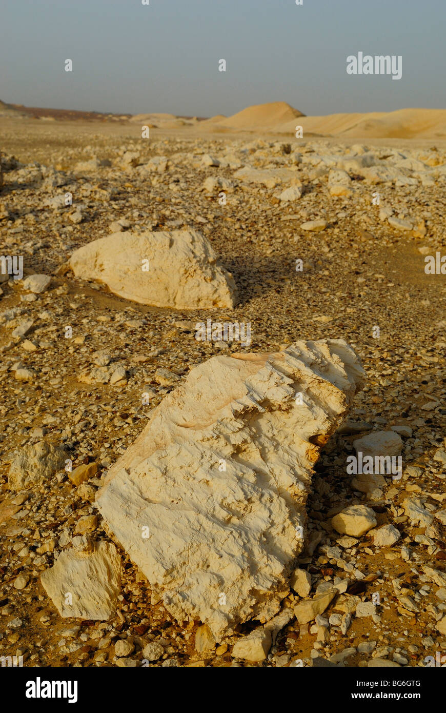 Sanddünen und Felsen in der westlichen Wüste von Ägypten Stockfoto