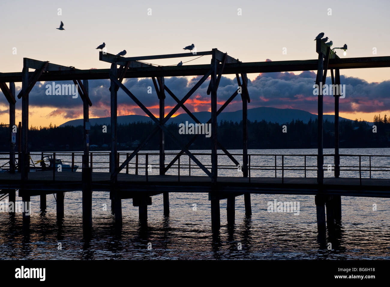 Möwen machen Sie sich bereit für die Nacht auf dem Boot Start Pier auf Stachelbeere Point, Lummi-Indianer-Reservat, US-Bundesstaat Washington fallen. Stockfoto