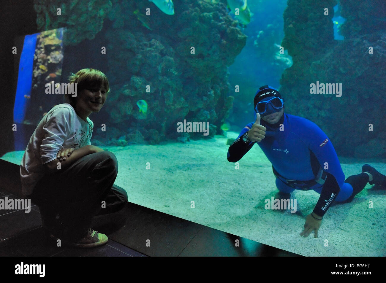 Freitaucher im Haifischbecken des Aquariums von Monaco Stockfoto