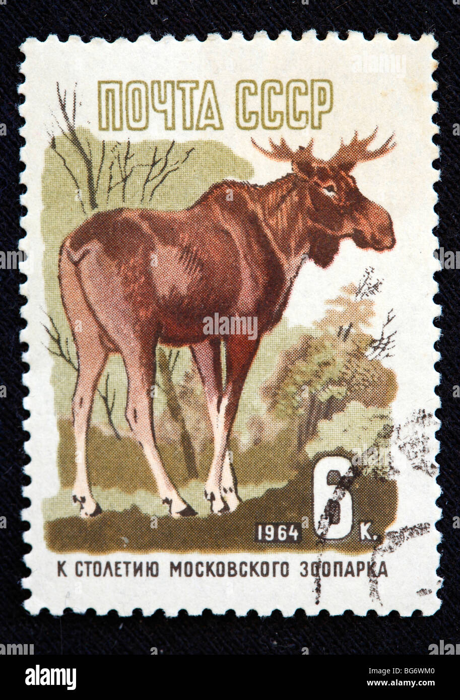 Europäischer Elch (Alces Alces), Briefmarke, UdSSR, 1964 Stockfoto