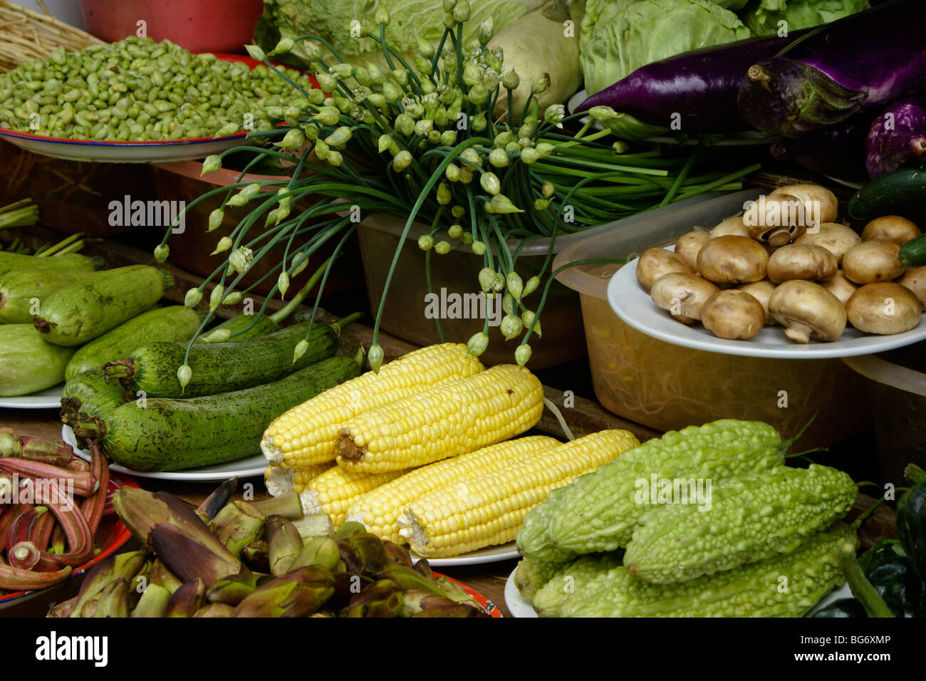 Gemüse kann man als Zutaten für Stir-Fry wählen. Stockfoto