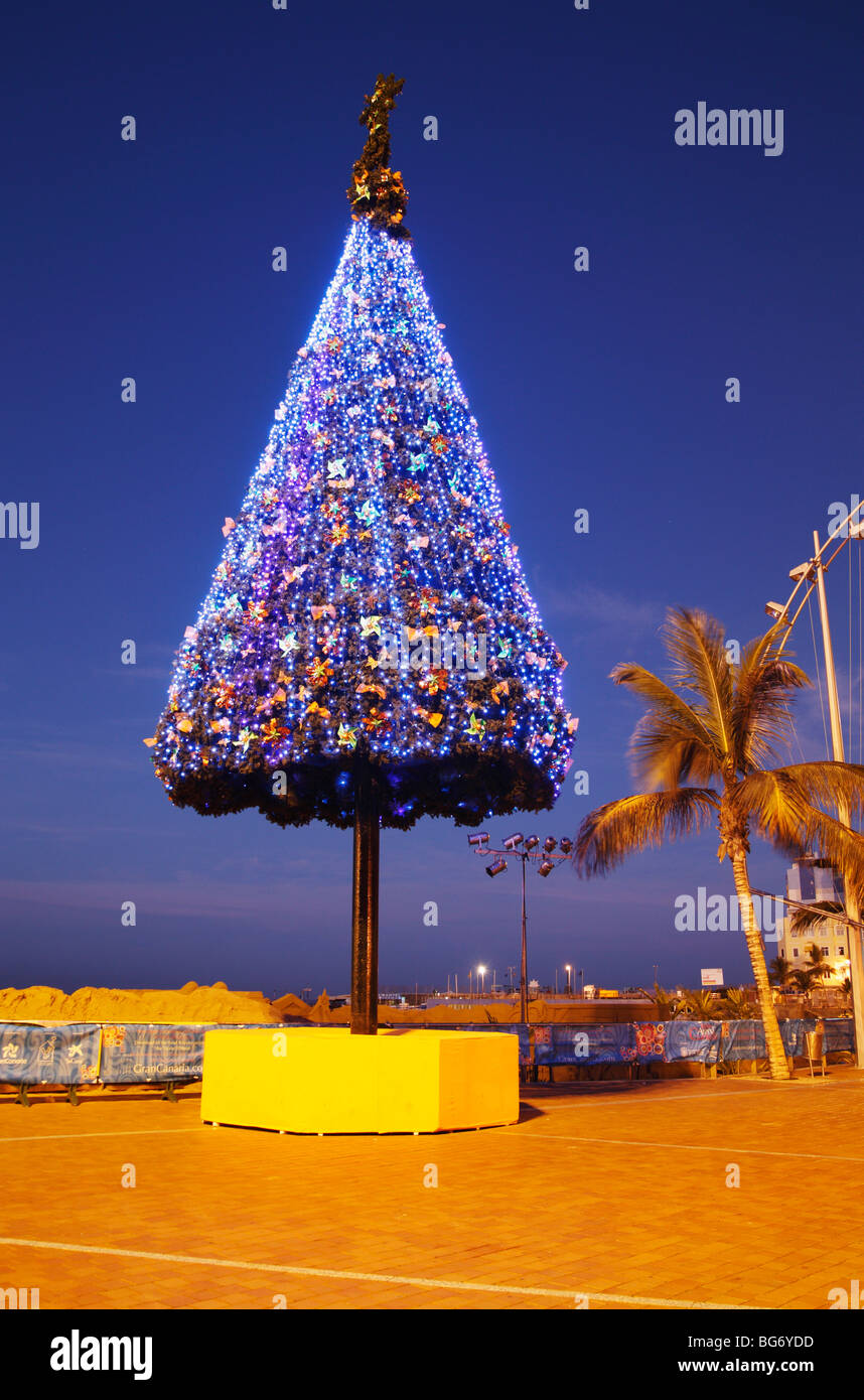 Weihnachtsbaum Ovelooking Strand in Kanarische Inseln Stockfoto