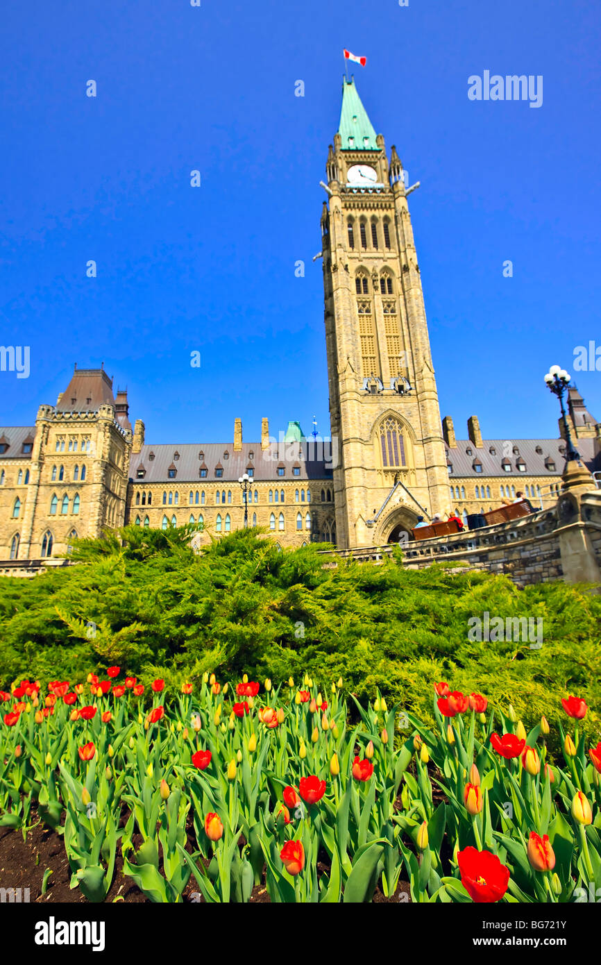 Block und Peace Tower Parlamentsgebäude und einen Garten von Tulpen auf Parliament Hill, Stadt von Ottawa, Ontario, Kanada kann Zentrum Stockfoto