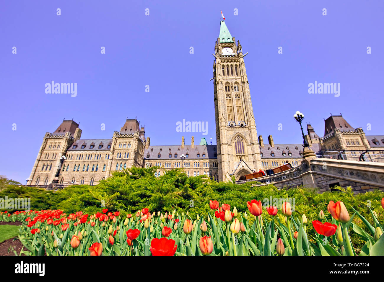 Block und Peace Tower Parlamentsgebäude und einen Garten von Tulpen auf Parliament Hill, Stadt von Ottawa, Ontario, Kanada kann Zentrum Stockfoto