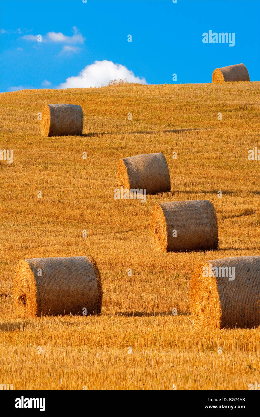 Feld mit Ballen Heu, blauer Himmel, Böhmen, Tschechien Stockfoto