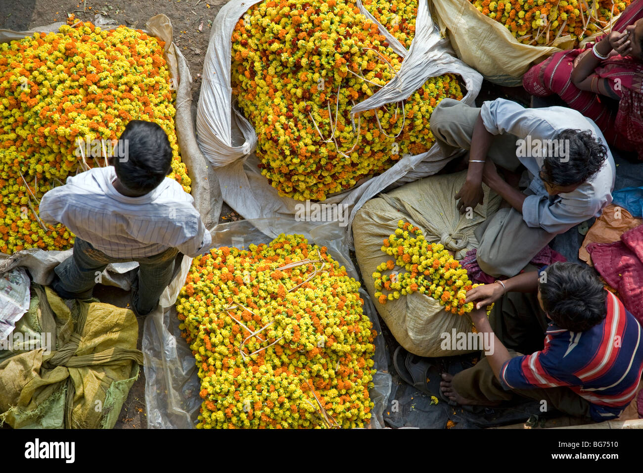 Blumenmarkt. Unter Howrah Brücke. Kalkutta (Kolkata). Indien Stockfoto