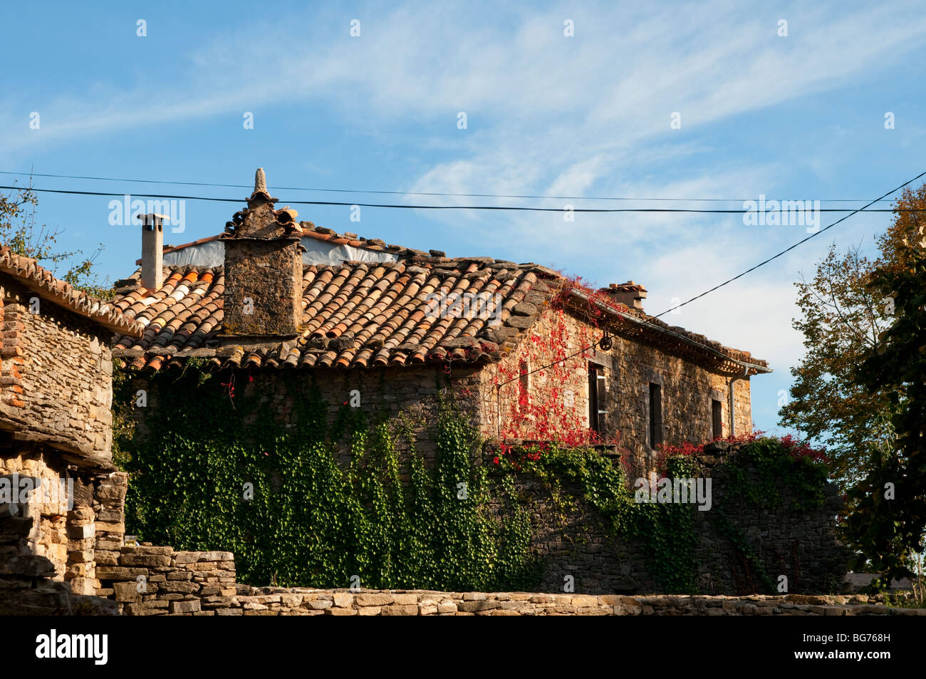 Haus mit Efeu, das Dorf Cezas, Cevennen, Frankreich Klettern Stockfoto
