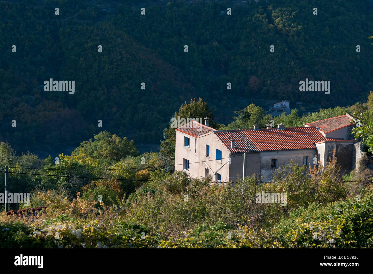 Altes Haus, Pommiers Dorf, Cevennen, Frankreich Stockfoto