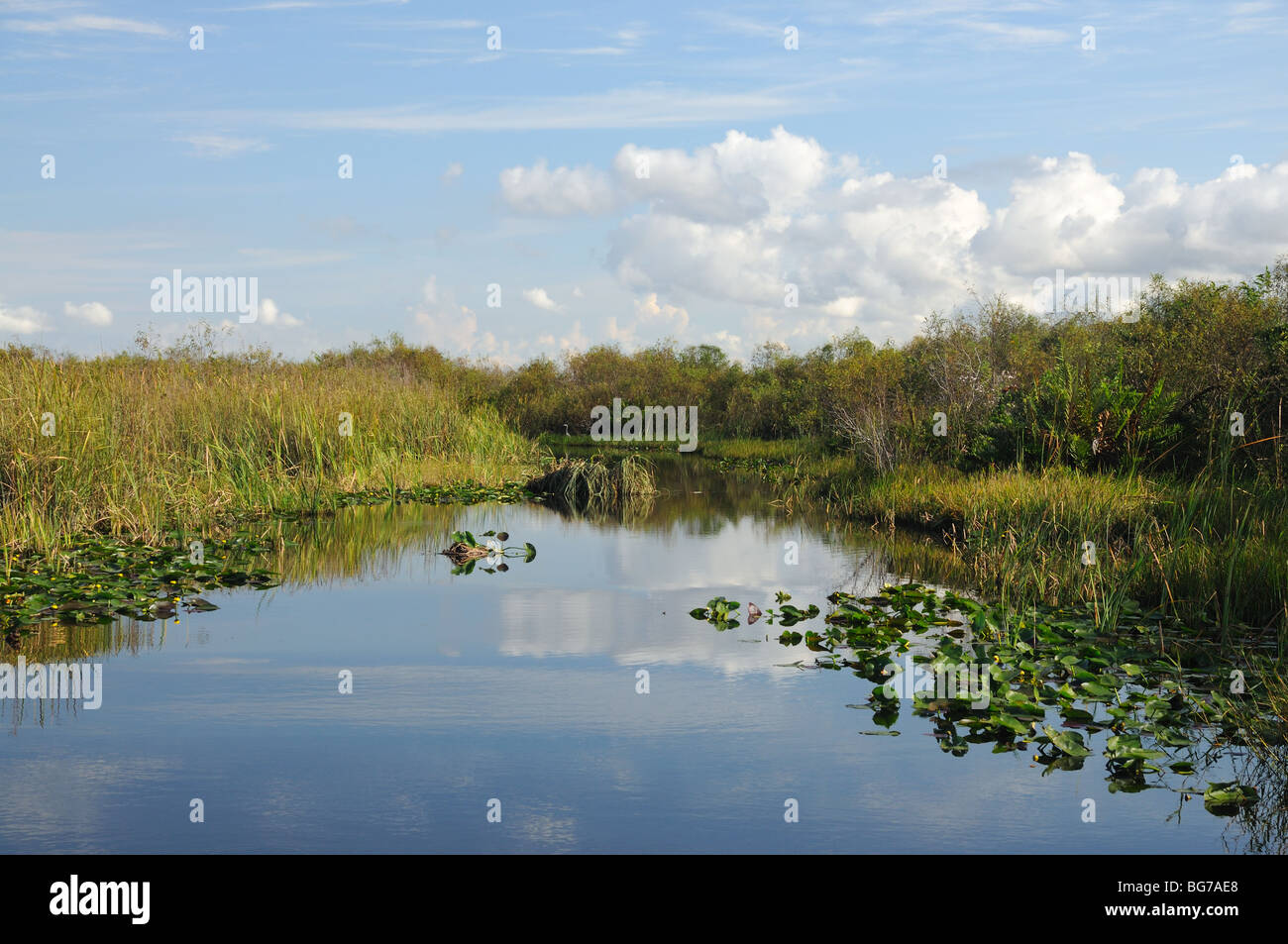 Landschaft in den Everglades Nationalpark, Florida USA Stockfoto