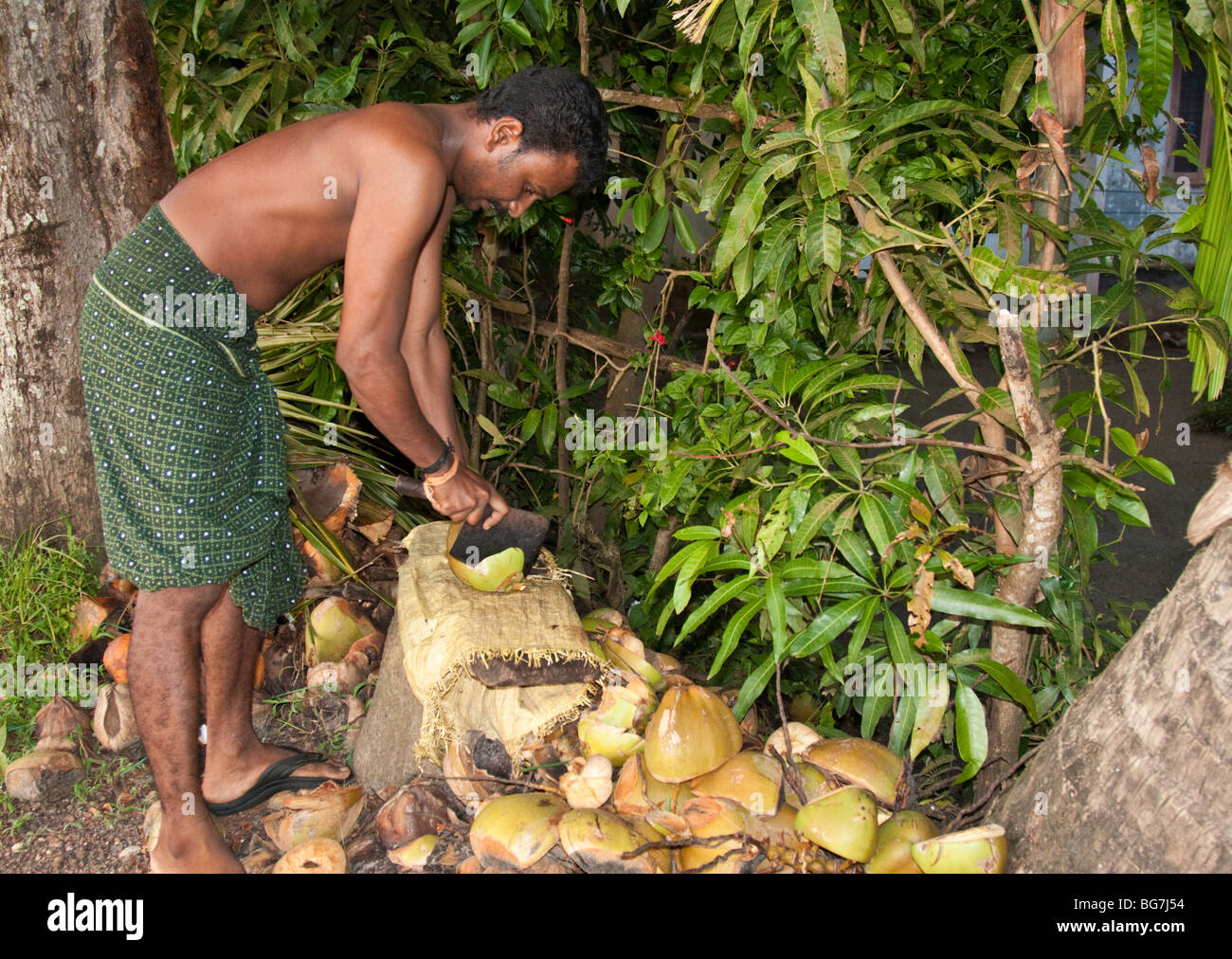 Mann hacken Kokosnuss Stockfoto