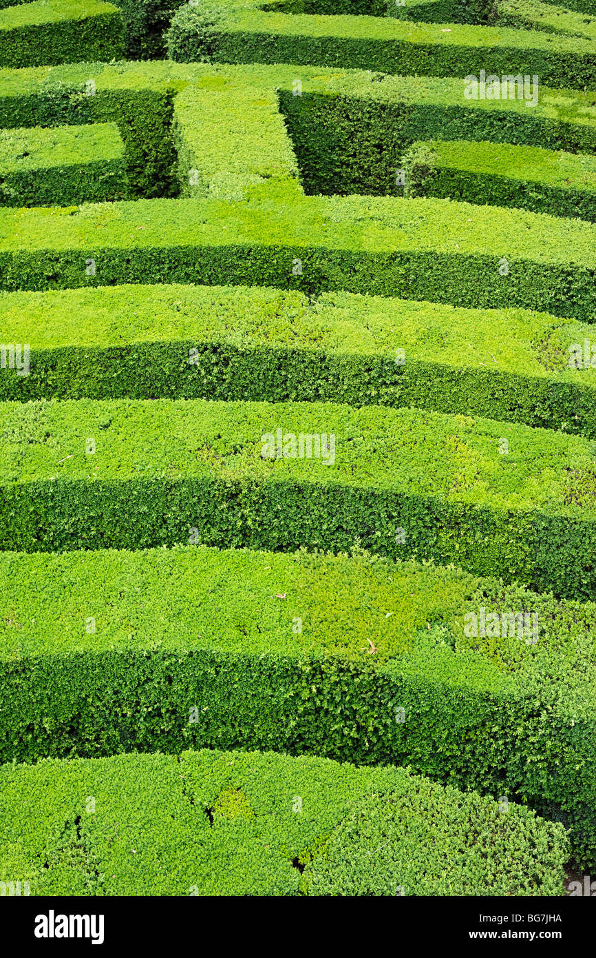 Labyrinth, barocke Villa Pisani, Stra, Veneto, Italien Stockfoto
