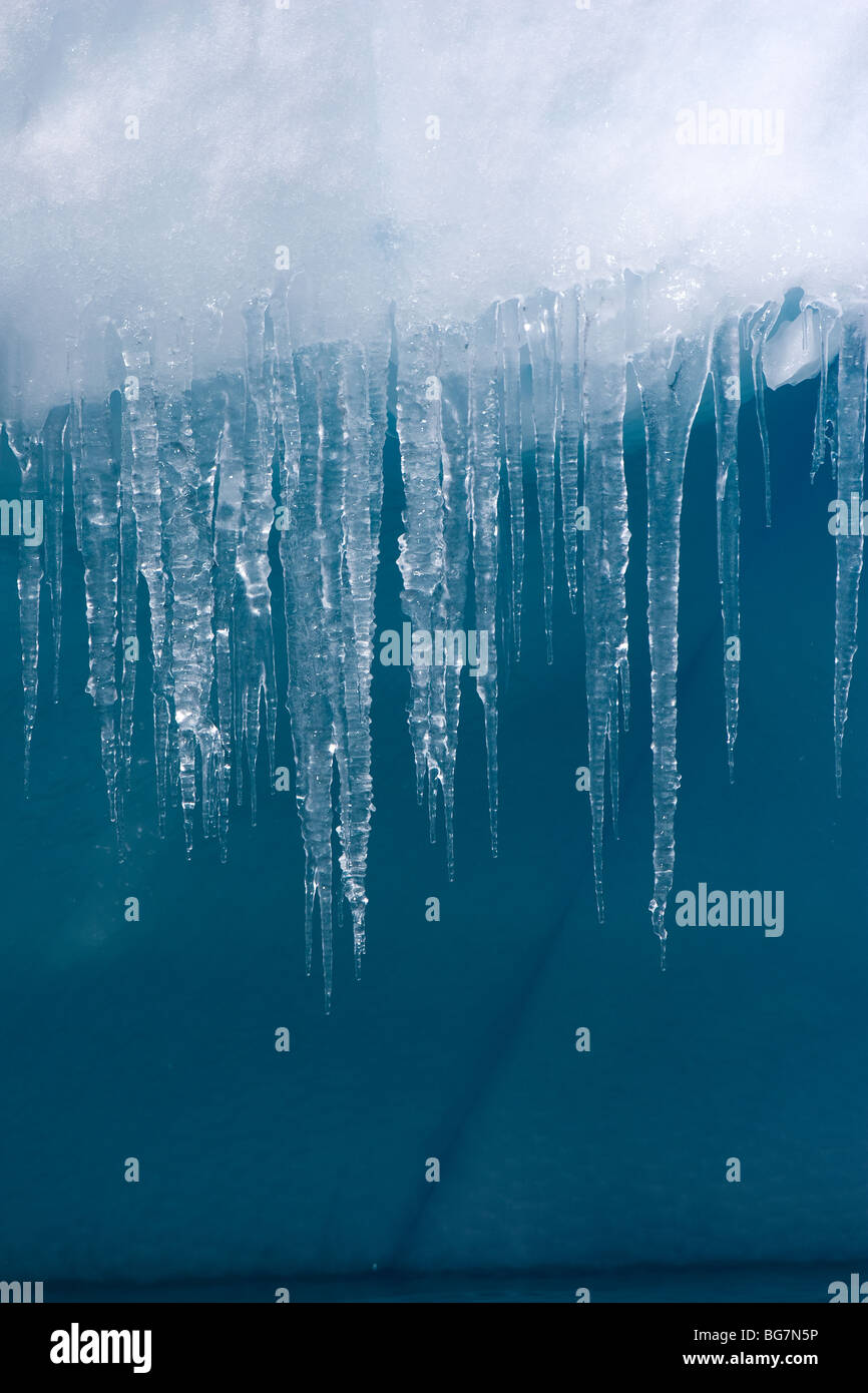 Eiszapfen tropft auf Eisberge, nahe Cuverville Island, Antarktis Stockfoto