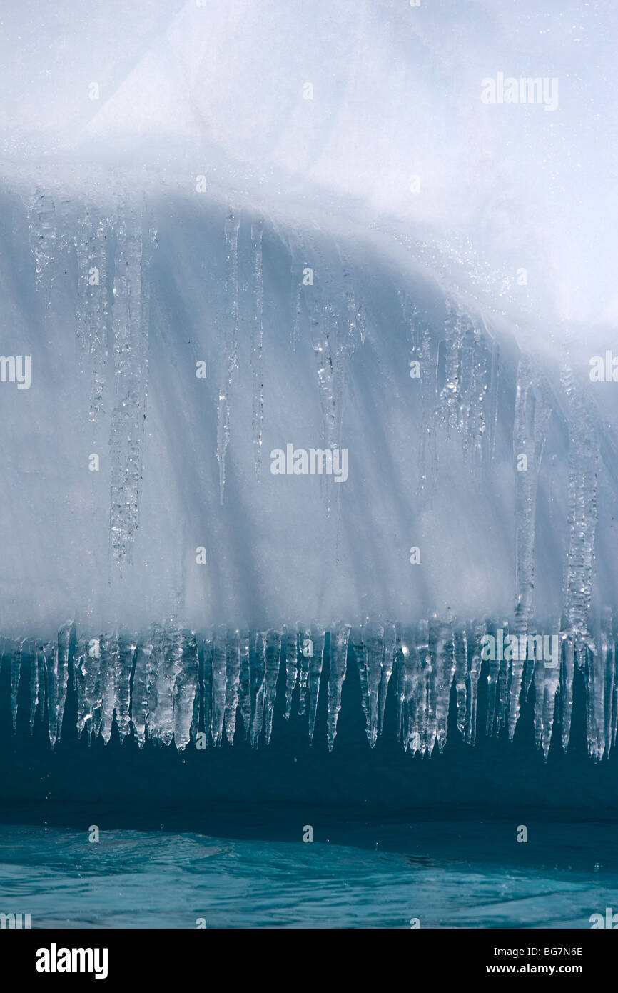 Eiszapfen tropft auf Eisberge, nahe Cuverville Island, Antarktis Stockfoto