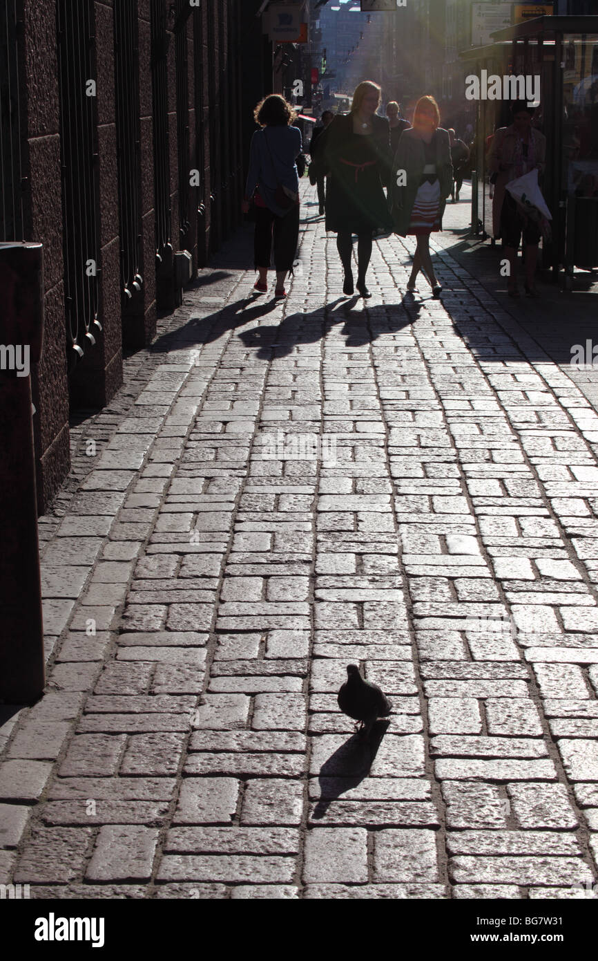 Finnland, Helsinki, Helsingfors, Aleksanterinkatu, Aleksanterink Straße, Fußweg, Fußgänger, Taube Stockfoto