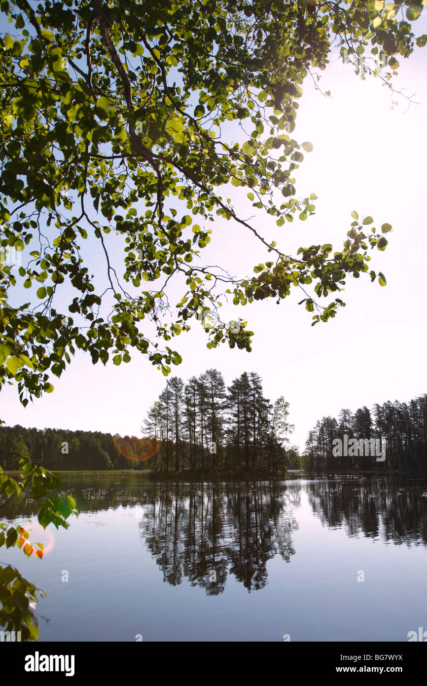 Finnland-Region des südlichen Savonia Savonlinna Punkaharju Ridge Punkaharju Nature Reserve Saimaa See Bezirk See Puruvesi Isla Stockfoto