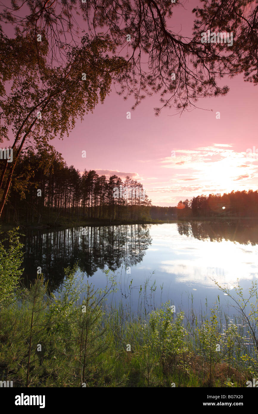 Finnland-Region des südlichen Savonia Savonlinna Punkaharju Ridge Punkaharju Nature Reserve Saimaa See Bezirk See Pihlajavesi ein Stockfoto