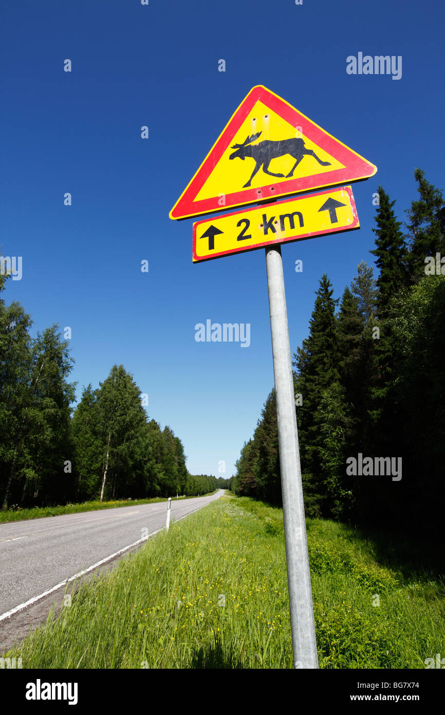 Finnland, Region der südlichen Savonia, Savonlinna, Punkaharju Ridge Road Sign For Elk Stockfoto