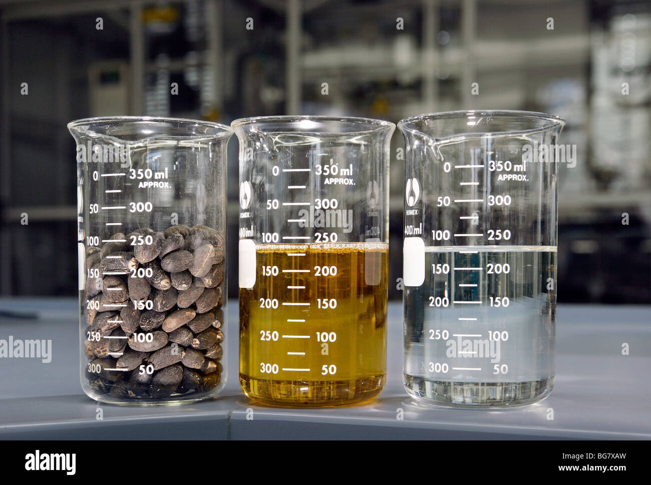 Produktion von Bio-Diesel in der BP-Forschungszentrum in Bochum, Deutschland Stockfoto