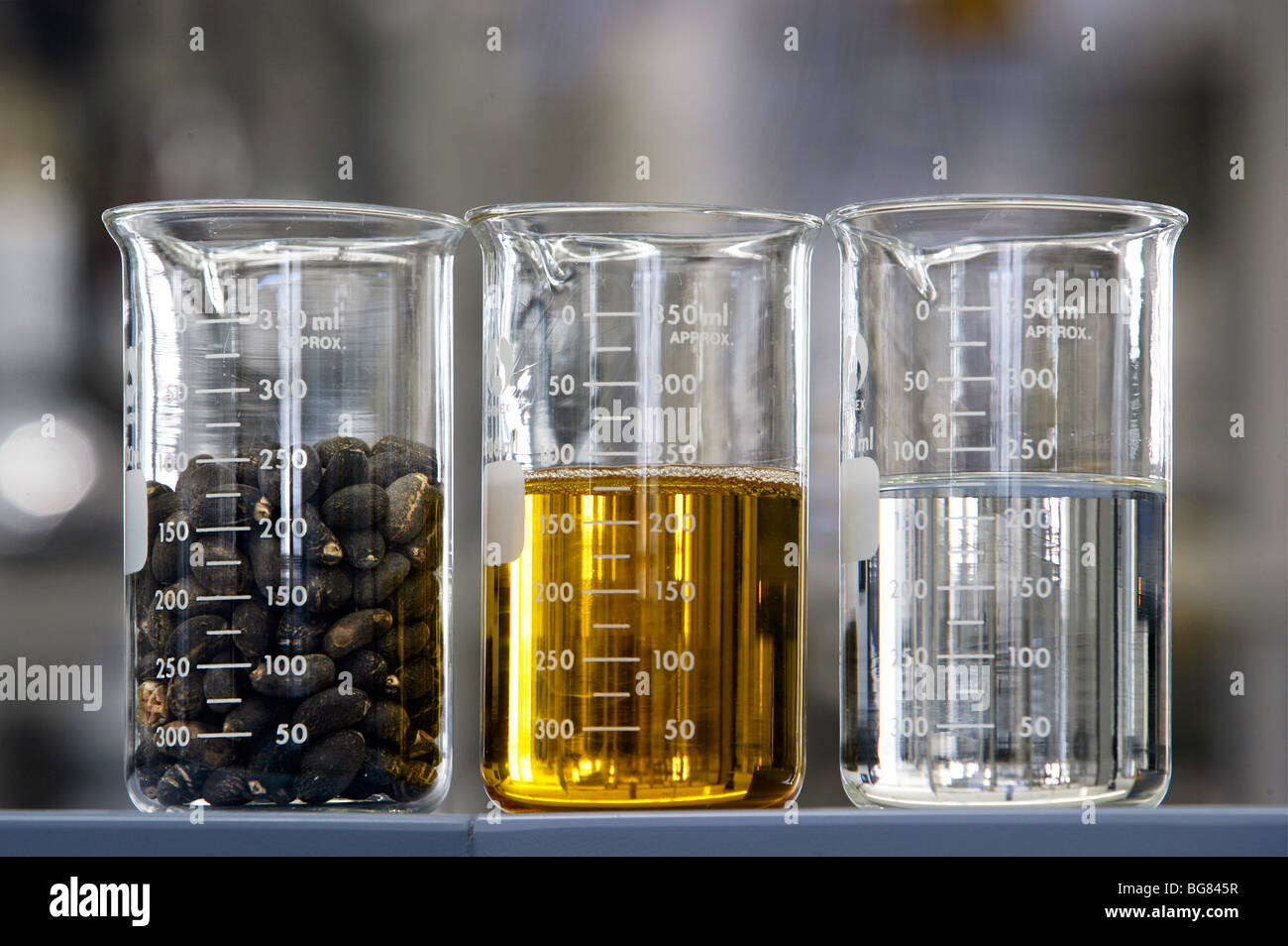 Produktion von Bio-Diesel in der BP-Forschungszentrum in Bochum, Deutschland Stockfoto