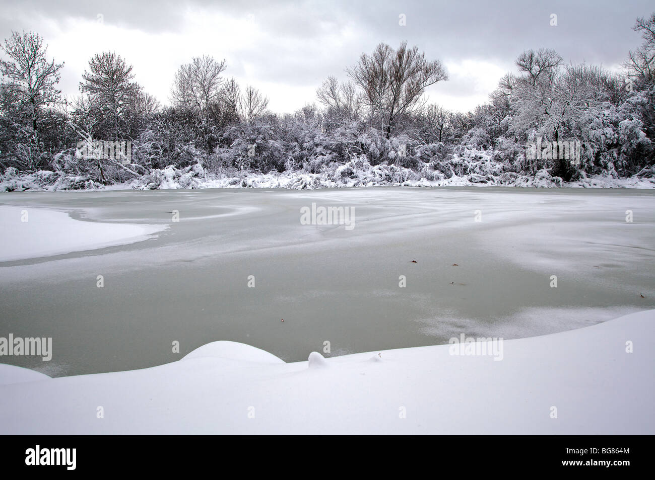 Starker Schneefall hängt auf Bäume und Sträucher in der Nähe von Wingra Creek nach dem 14-Zoll Schnee der Madison, Wisconsin ausgeblendet Stockfoto