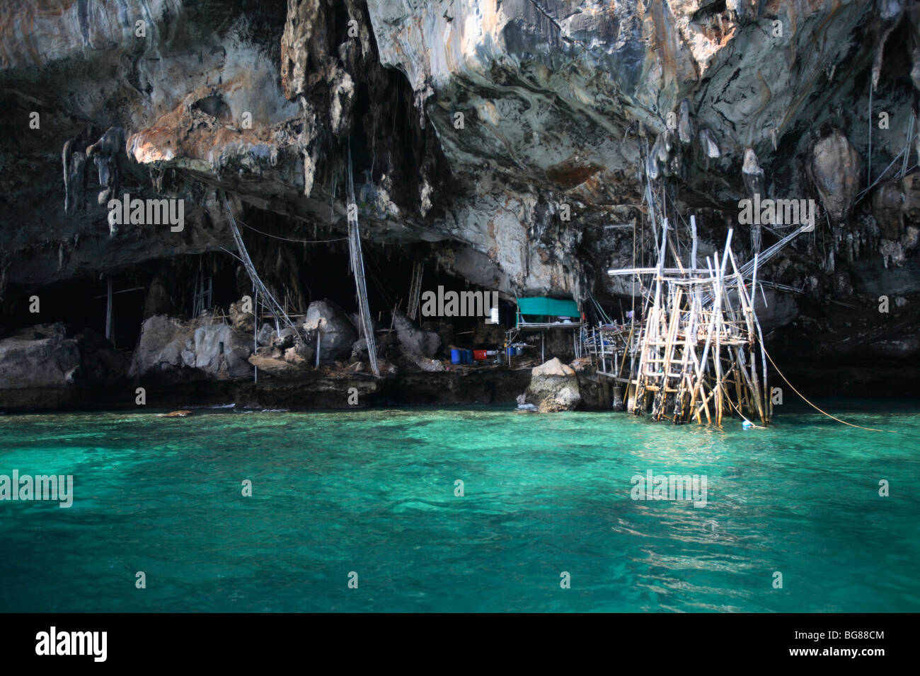 Wikinger Umhang, Insel Phi Phi Leh, Thailand Stockfoto