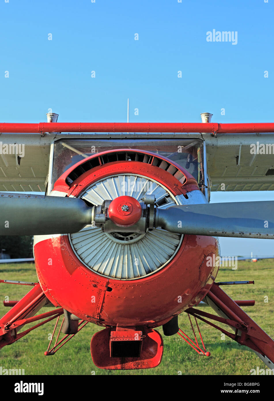 Kleinflugzeuge Flugzeuge geparkt an einem Rasen Flugplatz, Russland Stockfoto