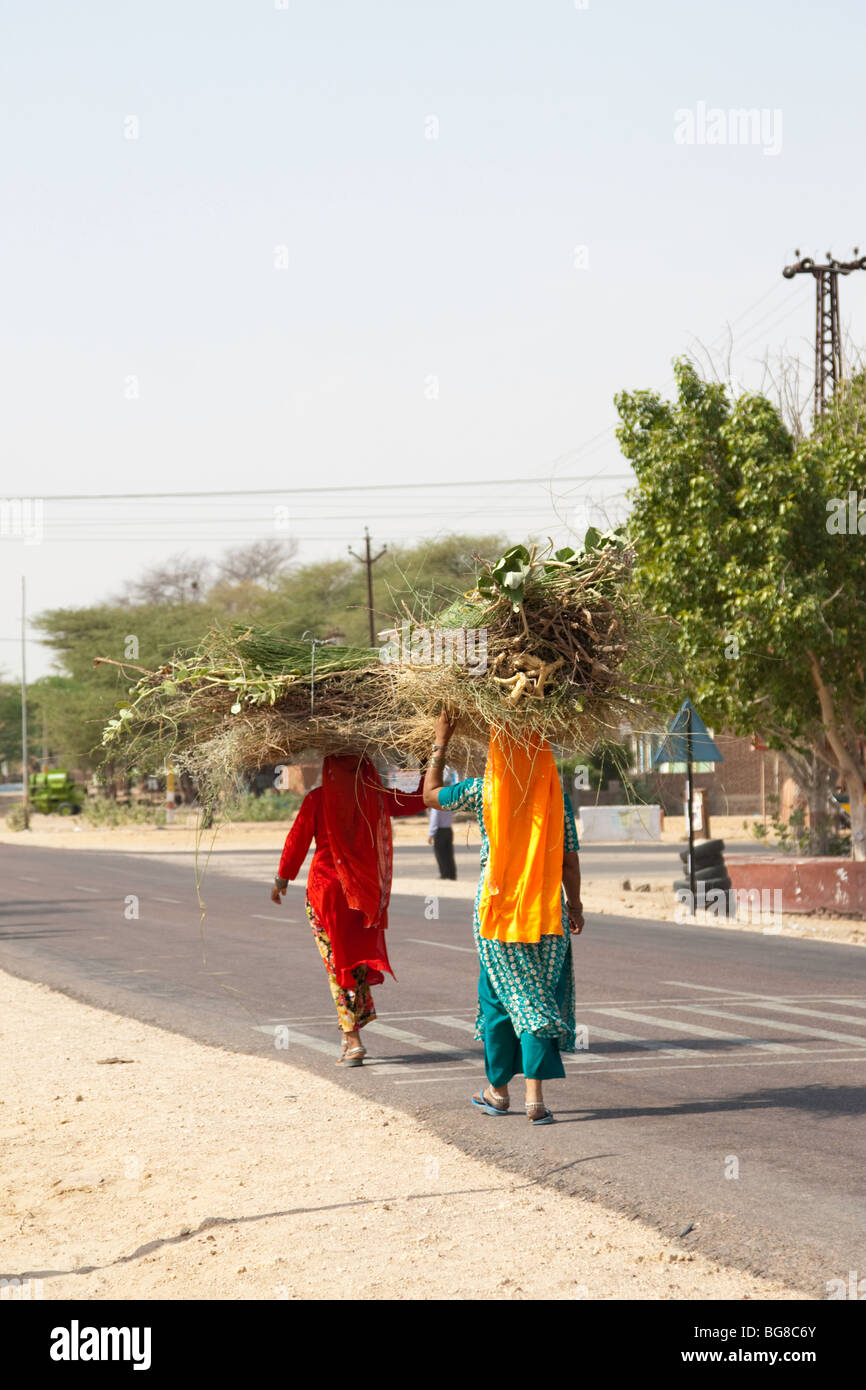 indische Frauen tragen von Lasten auf Kopf Stockfoto