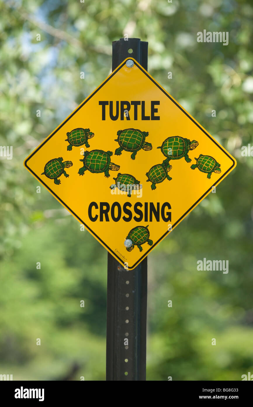 Turtle Kreuzung unterzeichnen. Warnung. Erie. Pennsylvania. USA. Stockfoto
