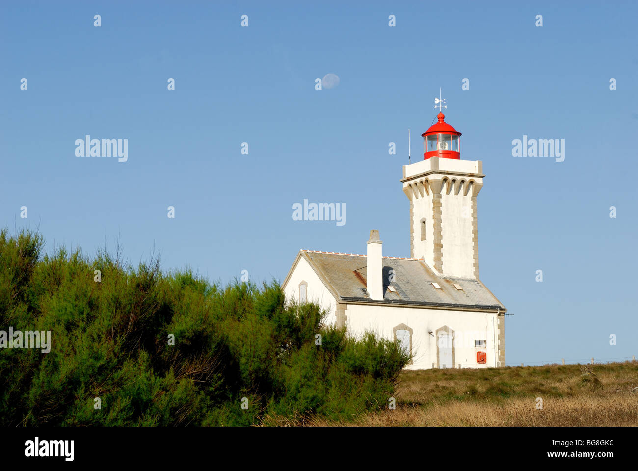 Belle-Île (56): Leuchtturm der Landzunge 'Pointe des Poulains' Stockfoto