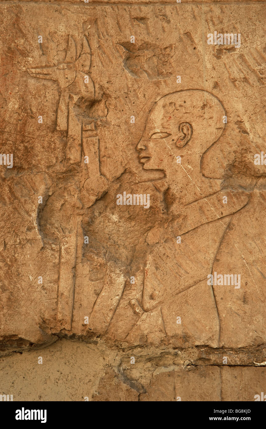 Relief Darstellung eines Priesters tragen das Bild des Gottes Anubis. Tempel der Hatschepsut. Deir El-Bahari. Luxor. Ägypten. Stockfoto