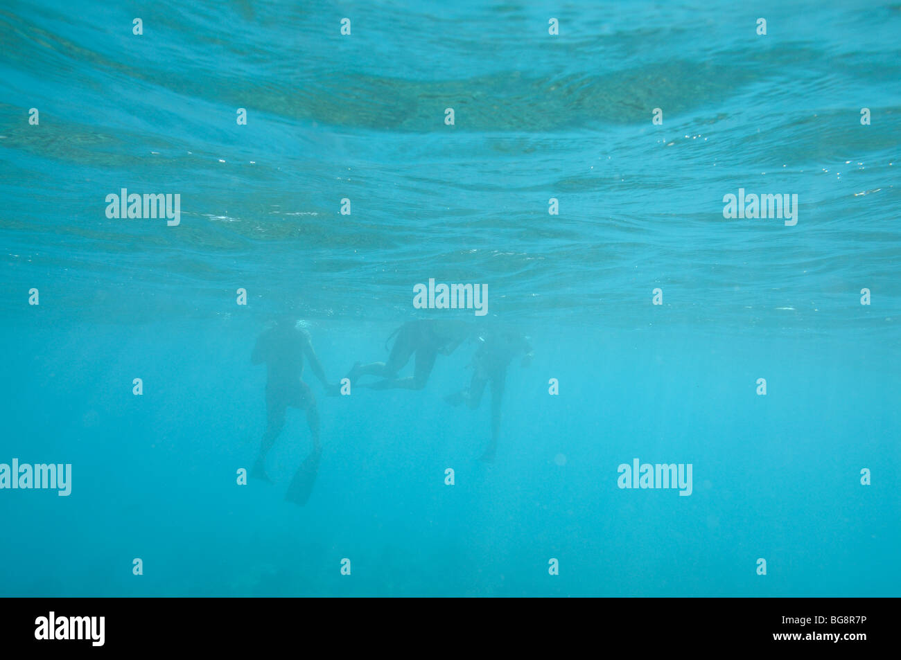 Unterwasserbilder von drei Schnorchler Stockfoto