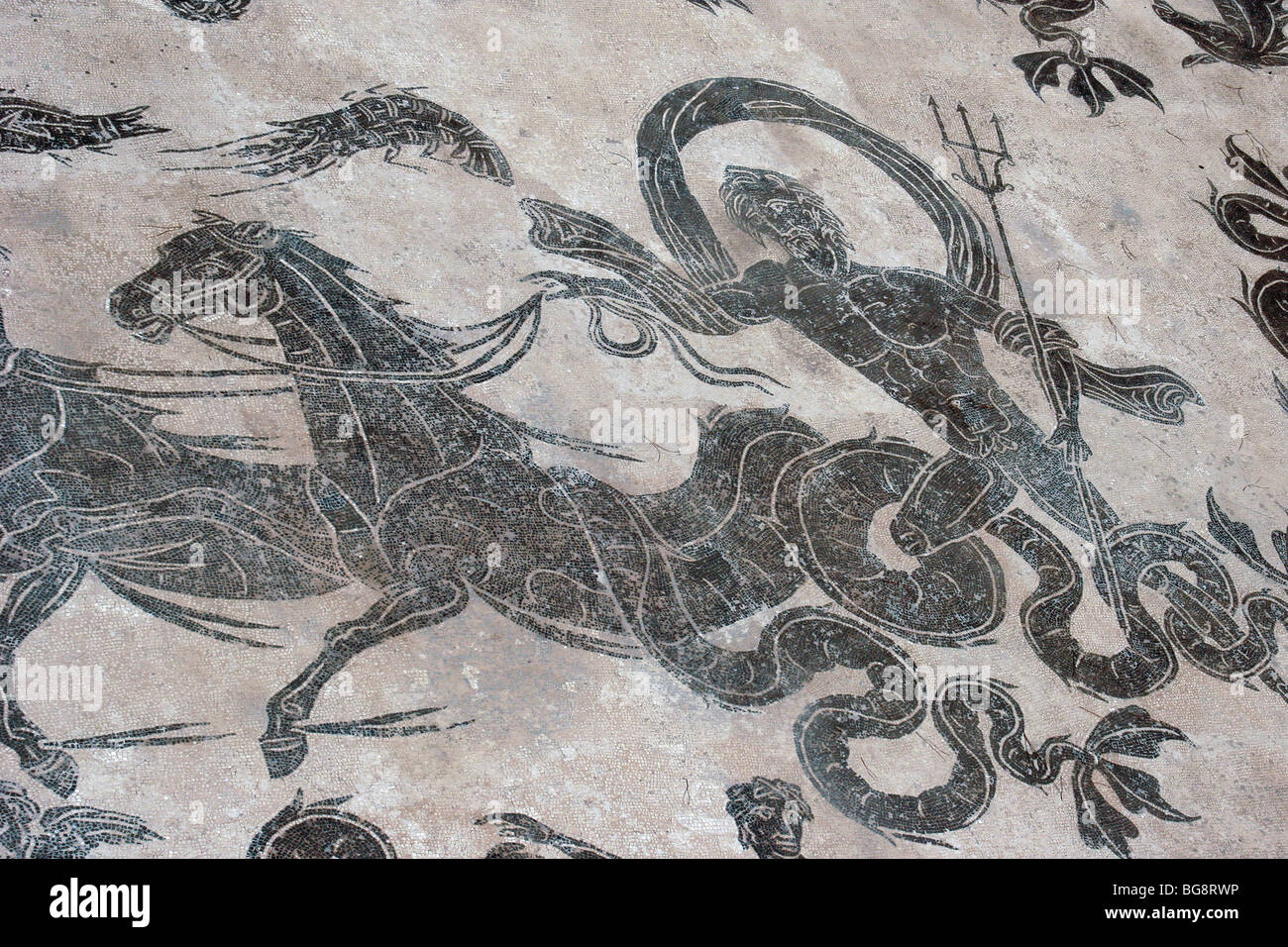 Ostia Antica. Hafenstadt des antiken Roms. Bäder von Neptun (Terme di Nepttuno). Detail eines Mosaiks. Italien. Europa. Stockfoto