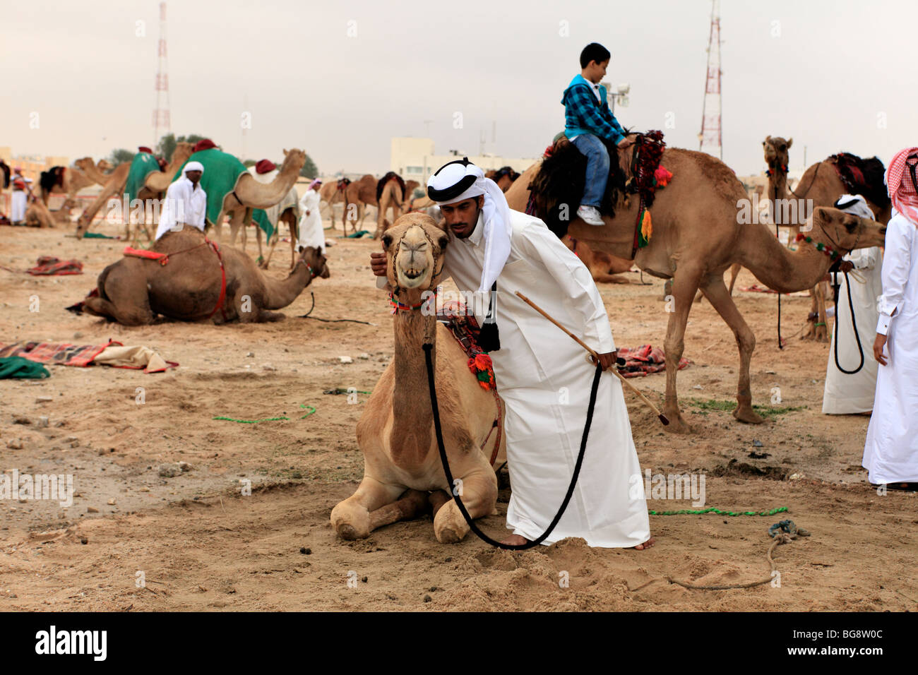 Ein Qatari umarmt sein Kamel in einem Camp in Doha, Katar, Stockfoto