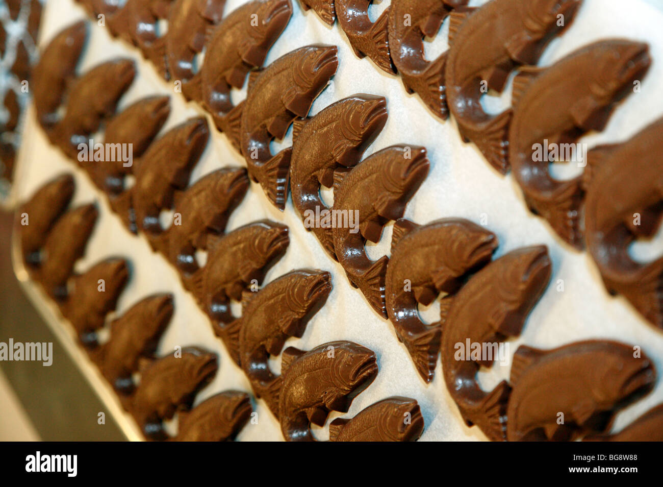 Nahaufnahme Bild von Chocolate Fish, Boehms Schokoladenfabrik, Issaquah gemacht Stockfoto