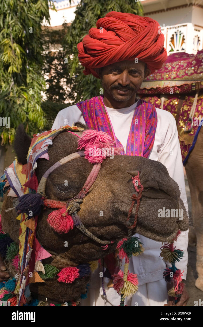 Indien Rajasthan Kamel & Mann Stockfoto