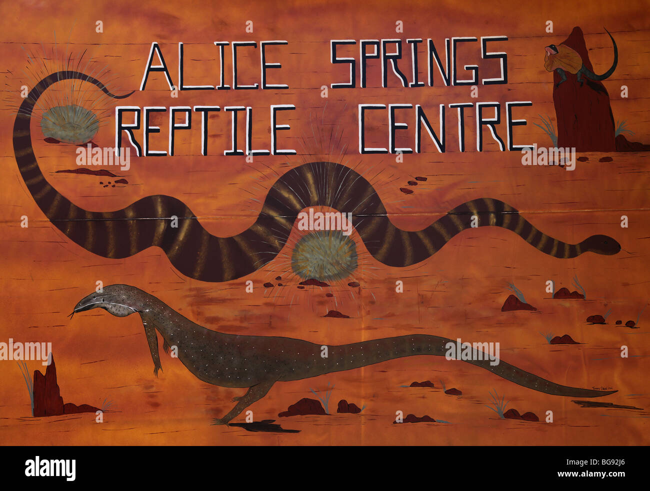 Alice Springs Reptile Centre-NT-Australien Stockfoto