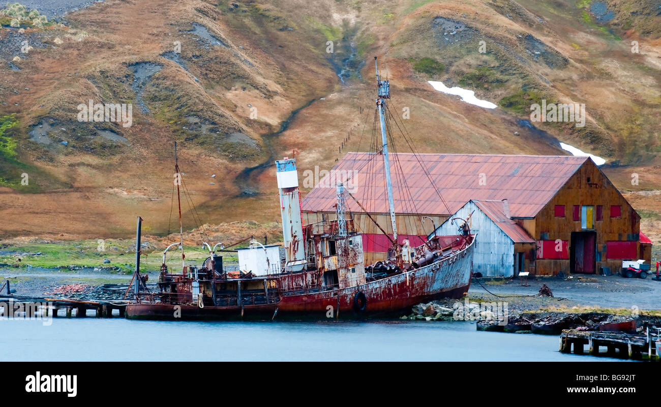 "Ein gestrandeter Walfang-Schiff in Grytviken Südgeorgien Insel" Stockfoto