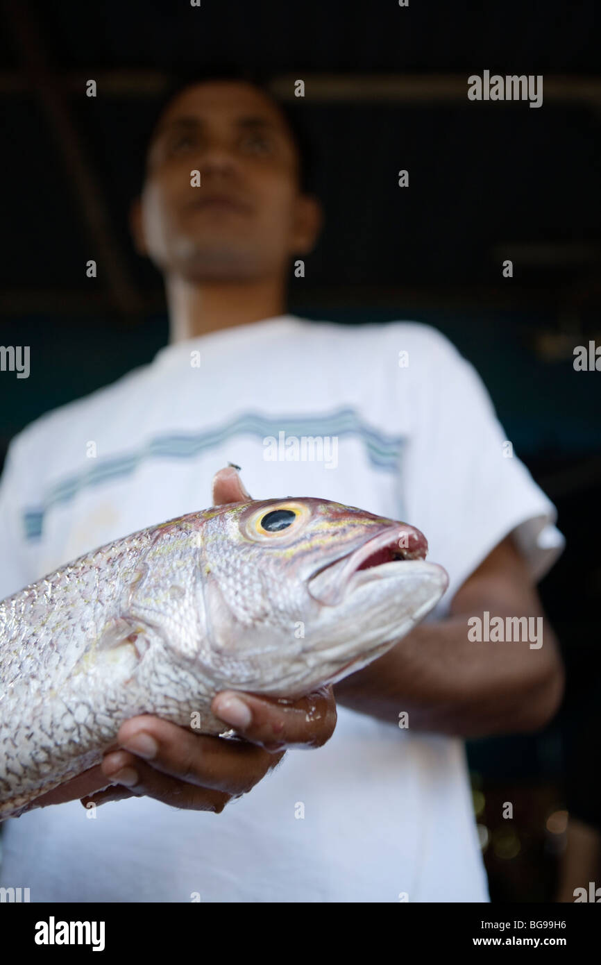 Frische tropische Fische warten darauf, in ein Meer-Food-Restaurant in Andaman Inseln, Indien gegrillt werden. Stockfoto