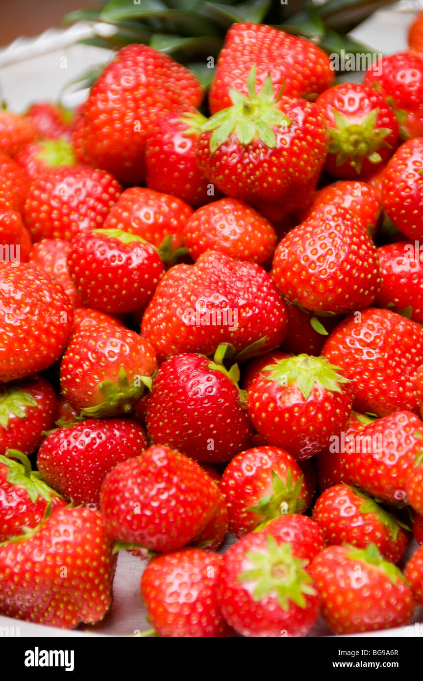 Erdbeeren Stockfoto