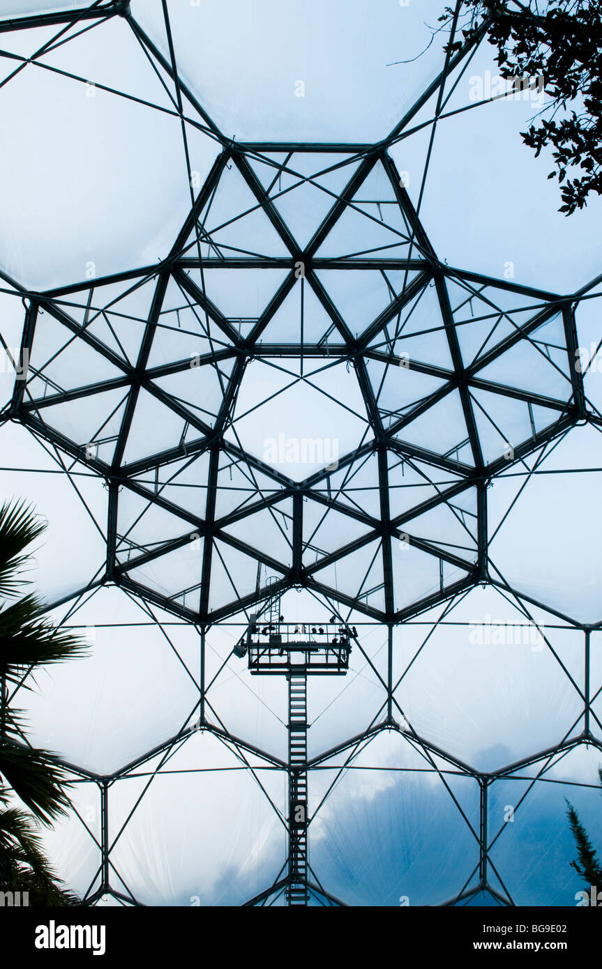 Innenteil des Kuppeldach des mediterranen Biome bei The Eden Project in Cornwall Stockfoto